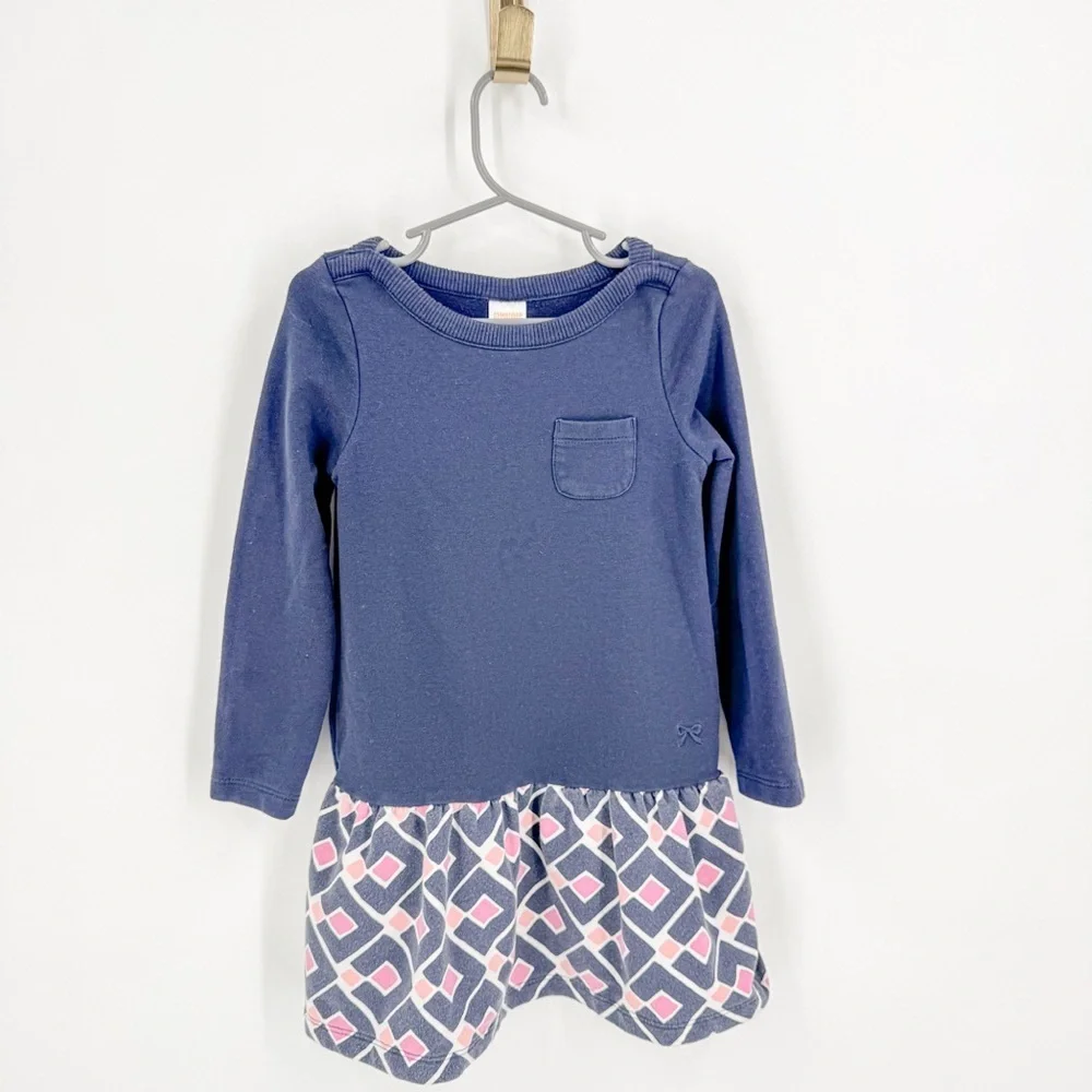 Gymboree Blue and Pink Long Sleeve Casual Dress